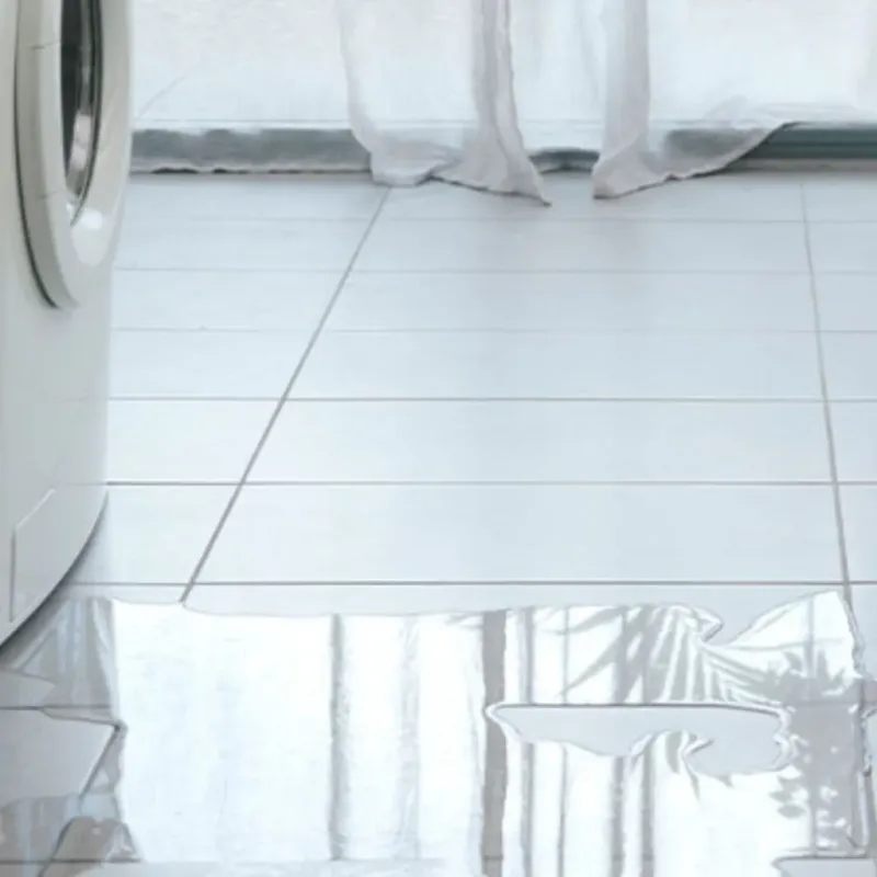 Appliance Leak Cleanup in Highland City, FL