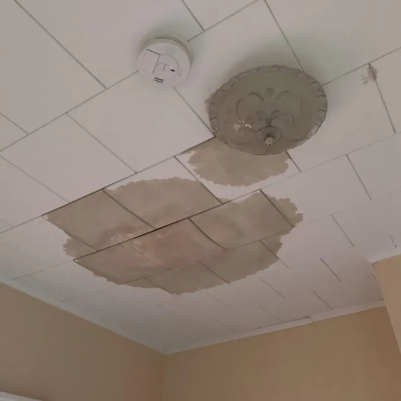 Ceiling Water Damage Repair in Highland City, FL
