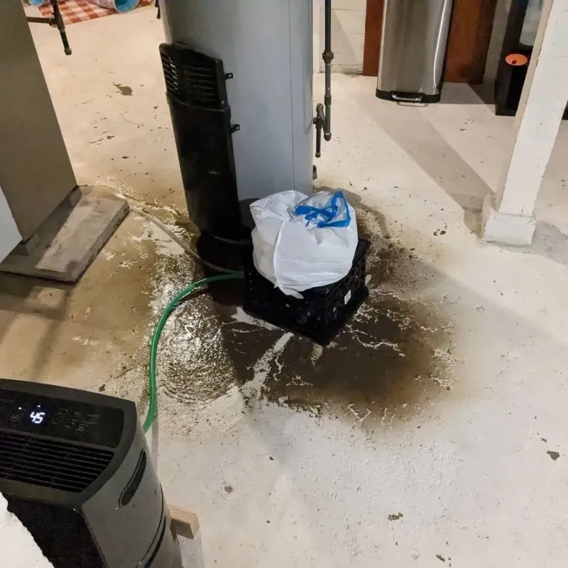 Sewage Backup Cleanup Service in Highland City, FL